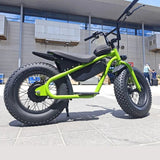 Factory special High quality 48V 1000W 15AH dirt bike cabinet balance for teenagers 16 inch fat tire snow MTB electric bicycle AXSSIBLZ