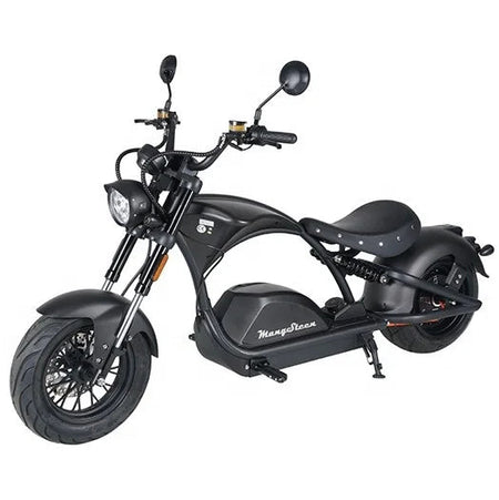 ZJW STLF  EEC COC Electric Scooter High Speed 72V Removable Battery 4000W Fat Tire 80km/h Citycoco AXSSIBLZ