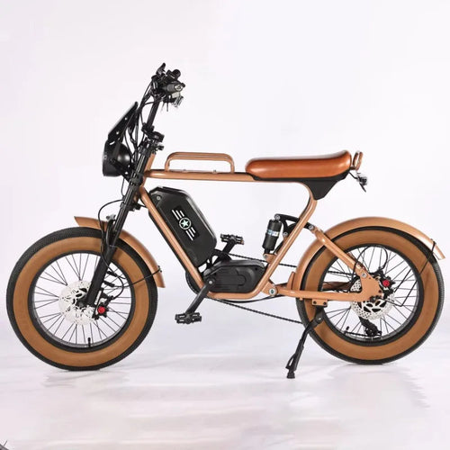 Best Selling 1000W 20 Inch Wide Tire Electric Bike 7 Speed Urban Electric Bike Off Road Electric Mountain Bike AXSSIBLZ