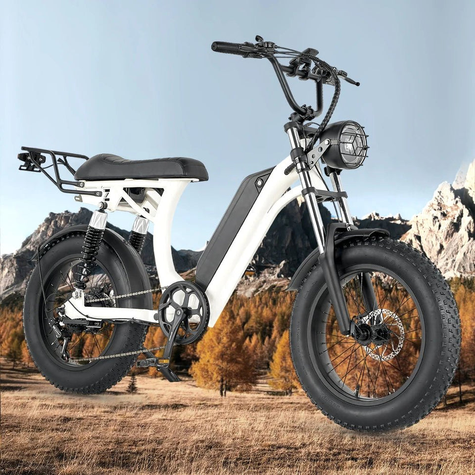 Ebike S1 Bike 750W 48V 16AH Men's/Ladies 7-speed 20-inch Off-Road City Electric Bike Available for Beaches Mountains AXSSIBLZ