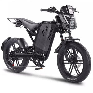 Retro Beach Two Wheel Electric Bike Wide Fat Tire Power Assist Pedal Electric Bike with 48V Downtube Battery AXSSIBLZ