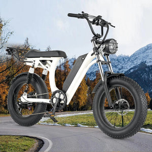 Ebike S1 Bike 750W 48V 16AH Men's/Ladies 7-speed 20-inch Off-Road City Electric Bike Available for Beaches Mountains AXSSIBLZ