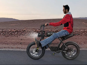 SAMEBIKE Electric Bike M20-II 20" 48V 32AH 2000W Motor  Electric Bicycle 45KM/H Max Speed Motorcycle Style E-bike AXSSIBLZ