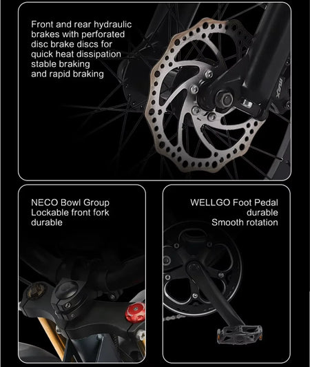 US Stock 1500w 48V Fat Tire Electric Bike Motorcycle Adults Off Road With Removable Dual Battery Mountain All-Terrain Bikes AXSSIBLZ