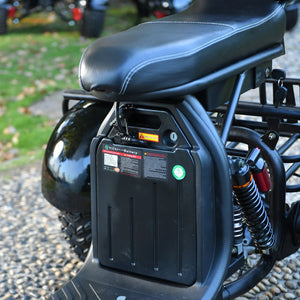 Adults 3 Wheel Electric Scooter 3000W Motor Max Speed 40KM/H Max Load 200KG 18 Inch Off Road Fat Tire Electric Motorcycle AXSSIBLZ