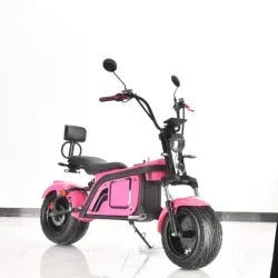 CocoRevolt 1500W/2000W/3000W – Powerful Electric Scooter with Disc Brakes and Steel Frame AXSSIBLZ