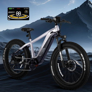 750W off-road electric bicycle 52V 17Ah 26 inch 4.0 fat tire with USB port and Bluetooth APP LCD screen 9-speed AXSSIBLZ