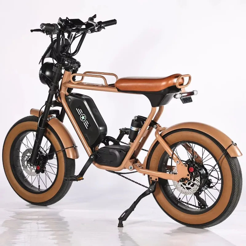 Best Selling 1000W 20 Inch Wide Tire Electric Bike 7 Speed Urban Electric Bike Off Road Electric Mountain Bike AXSSIBLZ