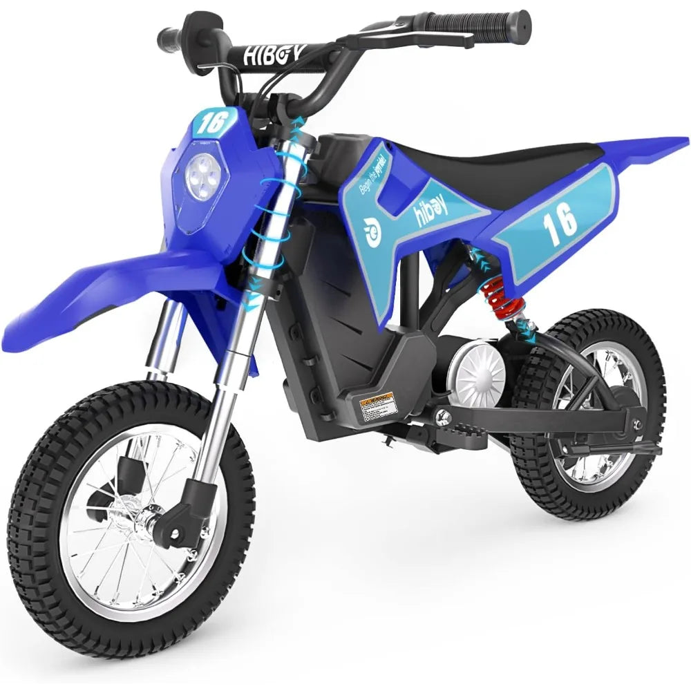 DK1 36V Electric Dirt Bike,300W Electric Motorcycle - Up to 15.5MPH & 13.7 Miles Long-Range,3-Speed Modes Motorcycle AXSSIBLZ