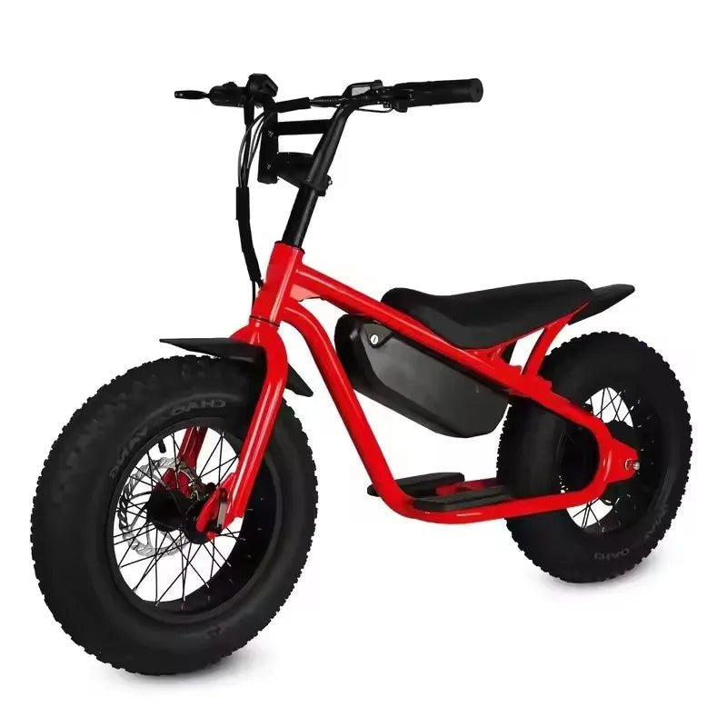 Factory special High quality 48V 1000W 15AH dirt bike cabinet balance for teenagers 16 inch fat tire snow MTB electric bicycle AXSSIBLZ