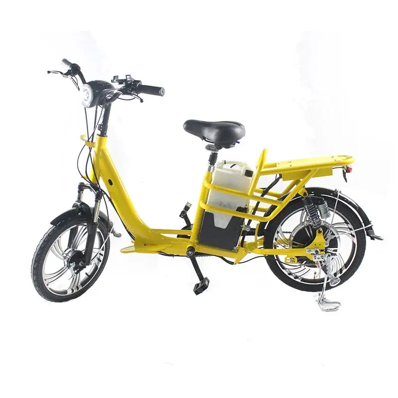 Ytyin Fast Food Delivery Cargo Electric Bike - AXSSIBLZ