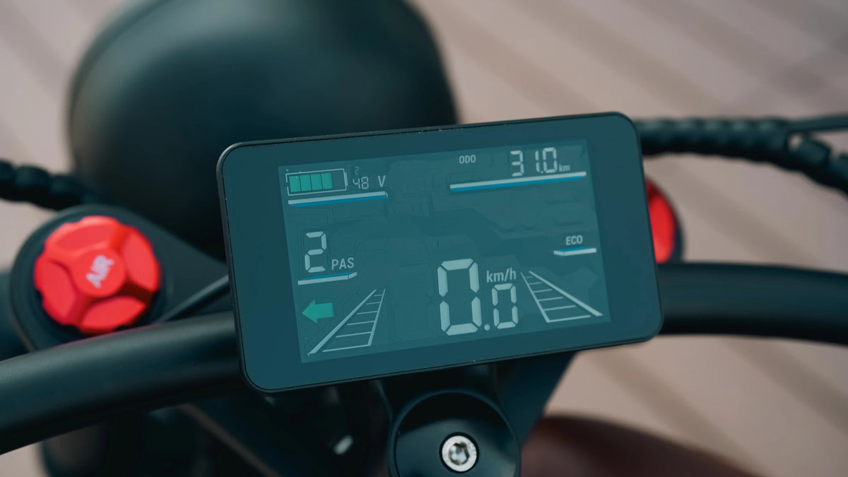 2024 BISEK 26'' Alumilloy E Bike Dual 25AH Lithium Batteries Retro Vintage Style Disc Brake Fat Tire Vintage Electric Bikecustom AXSSIBLZ