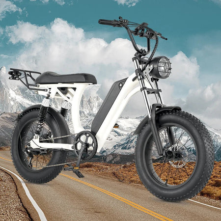 Ebike S1 Bike 750W 48V 16AH Men's/Ladies 7-speed 20-inch Off-Road City Electric Bike Available for Beaches Mountains AXSSIBLZ