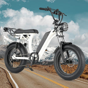 Ebike S1 Bike 750W 48V 16AH Men's/Ladies 7-speed 20-inch Off-Road City Electric Bike Available for Beaches Mountains AXSSIBLZ