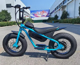 Factory special High quality 48V 1000W 15AH dirt bike cabinet balance for teenagers 16 inch fat tire snow MTB electric bicycle AXSSIBLZ
