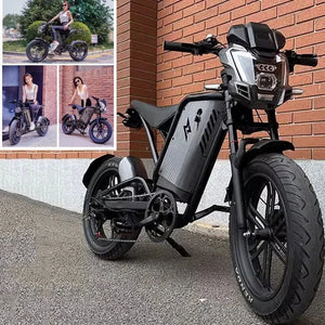 Retro Beach Two Wheel Electric Bike Wide Fat Tire Power Assist Pedal Electric Bike with 48V Downtube Battery AXSSIBLZ