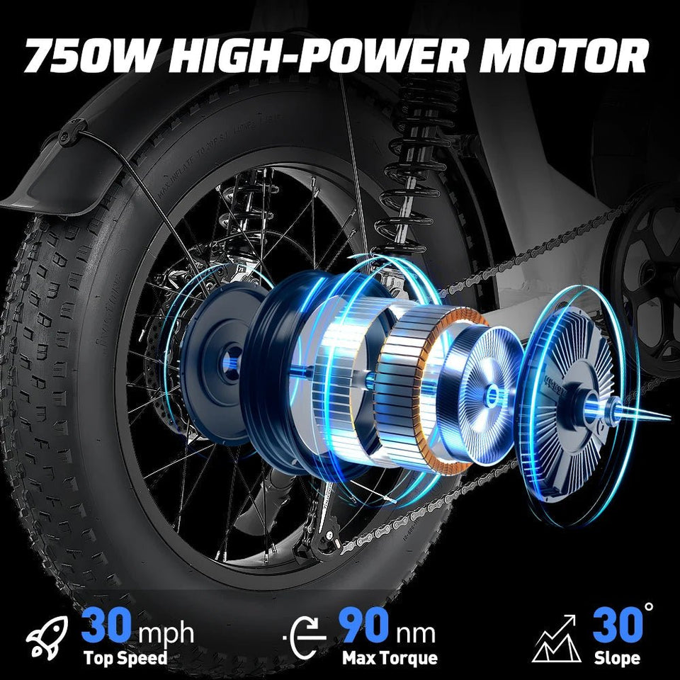 Ebike S1 Bike 750W 48V 16AH Men's/Ladies 7-speed 20-inch Off-Road City Electric Bike Available for Beaches Mountains AXSSIBLZ